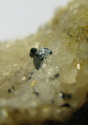 Deutschland/Rheinland-Pfalz/Alzey-Worms, Landkreis/Nack