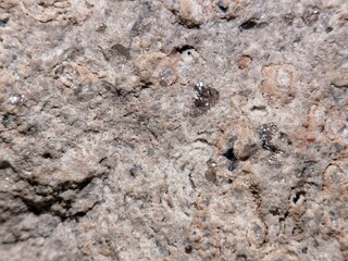 USA/Utah/Juab County/Thomas Range