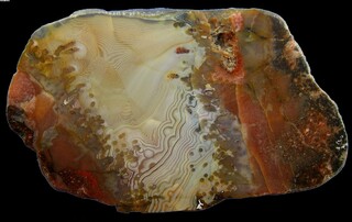 Niederlande/Limburg, Provinz/Arcen