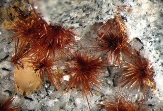 <small><b>Tuperssuatsiait</b></small><br/><small>Fundort: Aris, Windhoek, Windhoek District, Khomas Region, Namibia; Bildbreite: ca. 10 mm</small><br/><small><i>Copyright:</i> René Gervers (Klinoklas); <i>Beitrag:</i> Klinoklas</small><br/><small><i>Sammlung:</i> René Gervers (Klinoklas)</small><br/><small><i>Bild:</i> 1286486605</small><br/><small><a target="_blank" href="/viewF.php?param=1286486605" title="Bild in Originalgröße betrachten" >Originalgröße</a></small> - <small> <a href="/lexikon/addons/rate.php?id=102656" class="highslide" onclick="return hs.htmlExpand(this, {objectType: 'iframe', outlineType: 'rounded-white', preserveContent: false, width: 400, height:100, wrapperClassName: 'highslide-wrapper drag-header' })">Bewerten</a></small> - <small><a target="_blank" href="/lexikon/index.php/Bildanzeige?pict=1286486605" title="Wo wurde das Bild eingesetzt, Link für das Forum, EXIF Informationen, Panoramaviewer, Bildbewertung für angemeldete Benutzer" >Zusatzinfo</a></small> - <small><a target="_blank" href="/lexikon/index.php/MedienDatenBearbeiten?pictureid=MTAyNjU2">Bearbeiten</a></small>